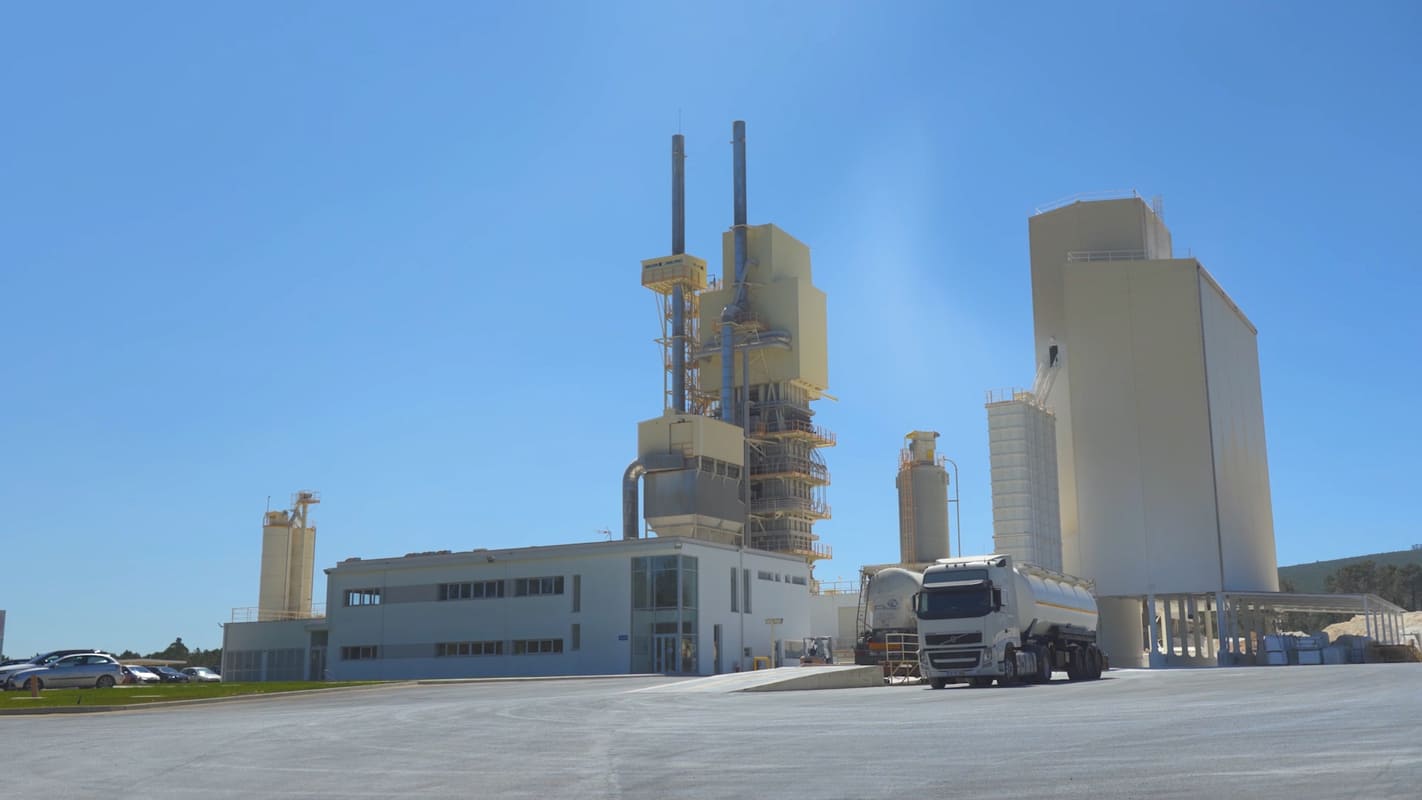 Planta Cales de Pachs en Portugal