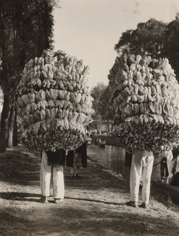 Tina Modotti