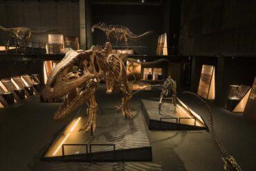 Dinosaurios Exposición CosmoCaixa