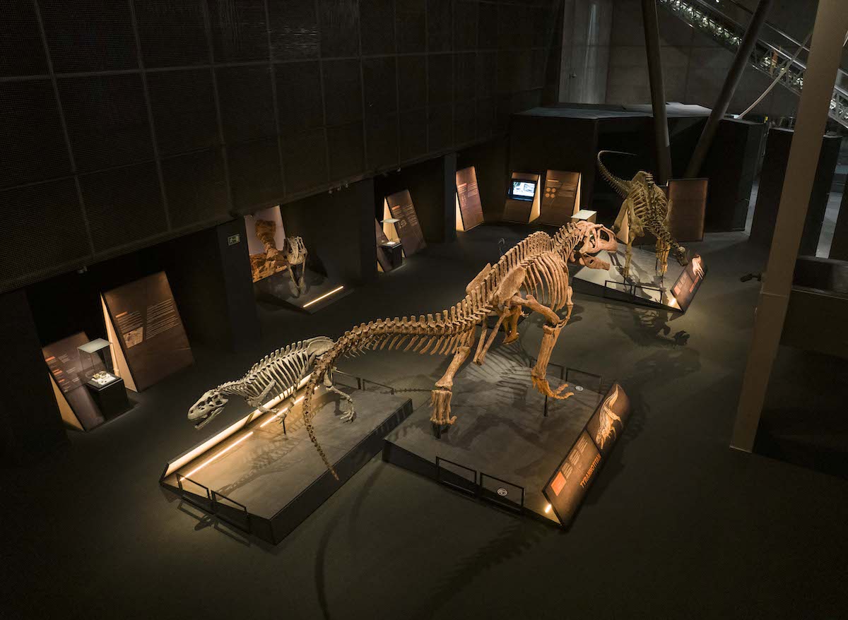 Dinosaurios Exposición CosmoCaixa