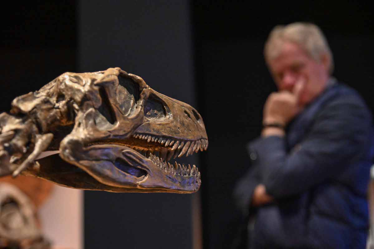 Visitante y dinosaurio Exposición CosmoCaixa