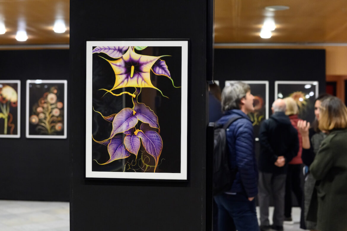 Exposició de Entangled Others en el Palau de la Música