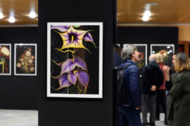 Exposició de Entangled Others en el Palau de la Música