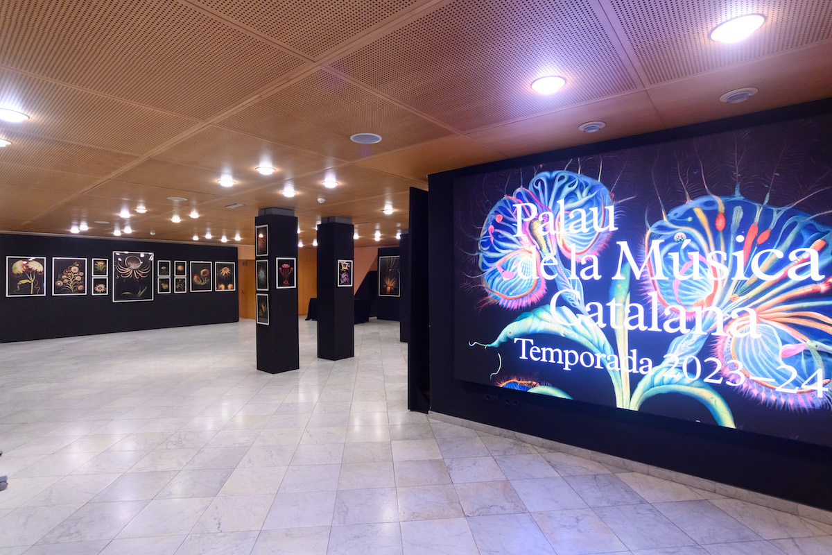 Exposición sobre IA en espacios del Palau de la Música