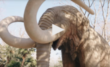 mamut barcelona parc de la ciutadella
