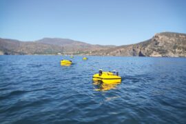 Robots de Seabots en el mar.