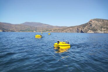 Robots de Seabots en el mar.