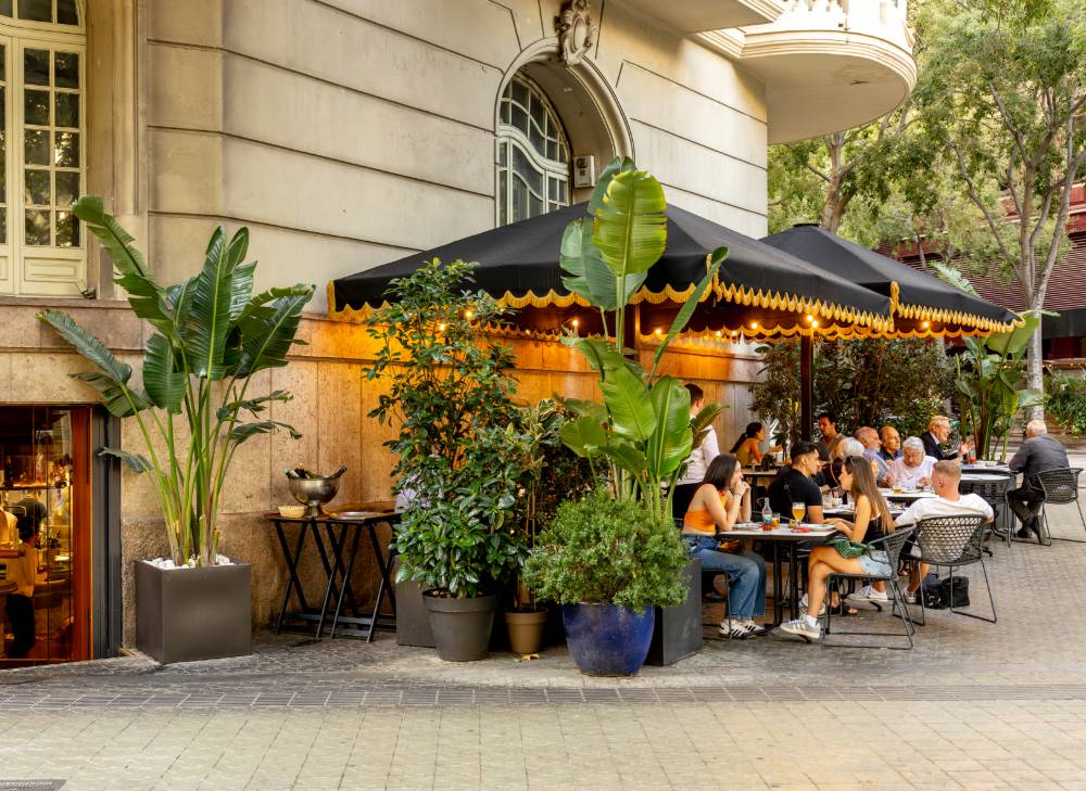 ruta tapeo barcelona