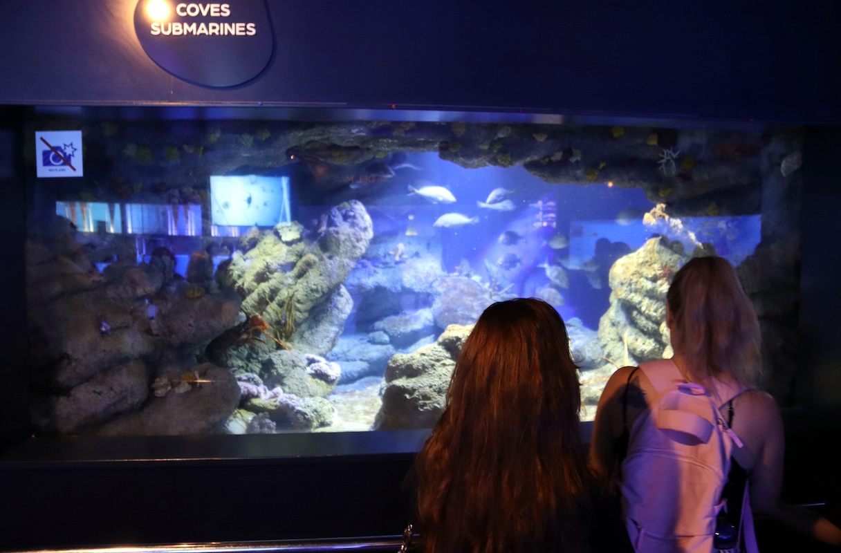 Aquàrium de Barcelona.