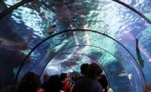 Túnel de Aquàrium de Barcelona.