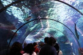 Túnel de Aquàrium de Barcelona.