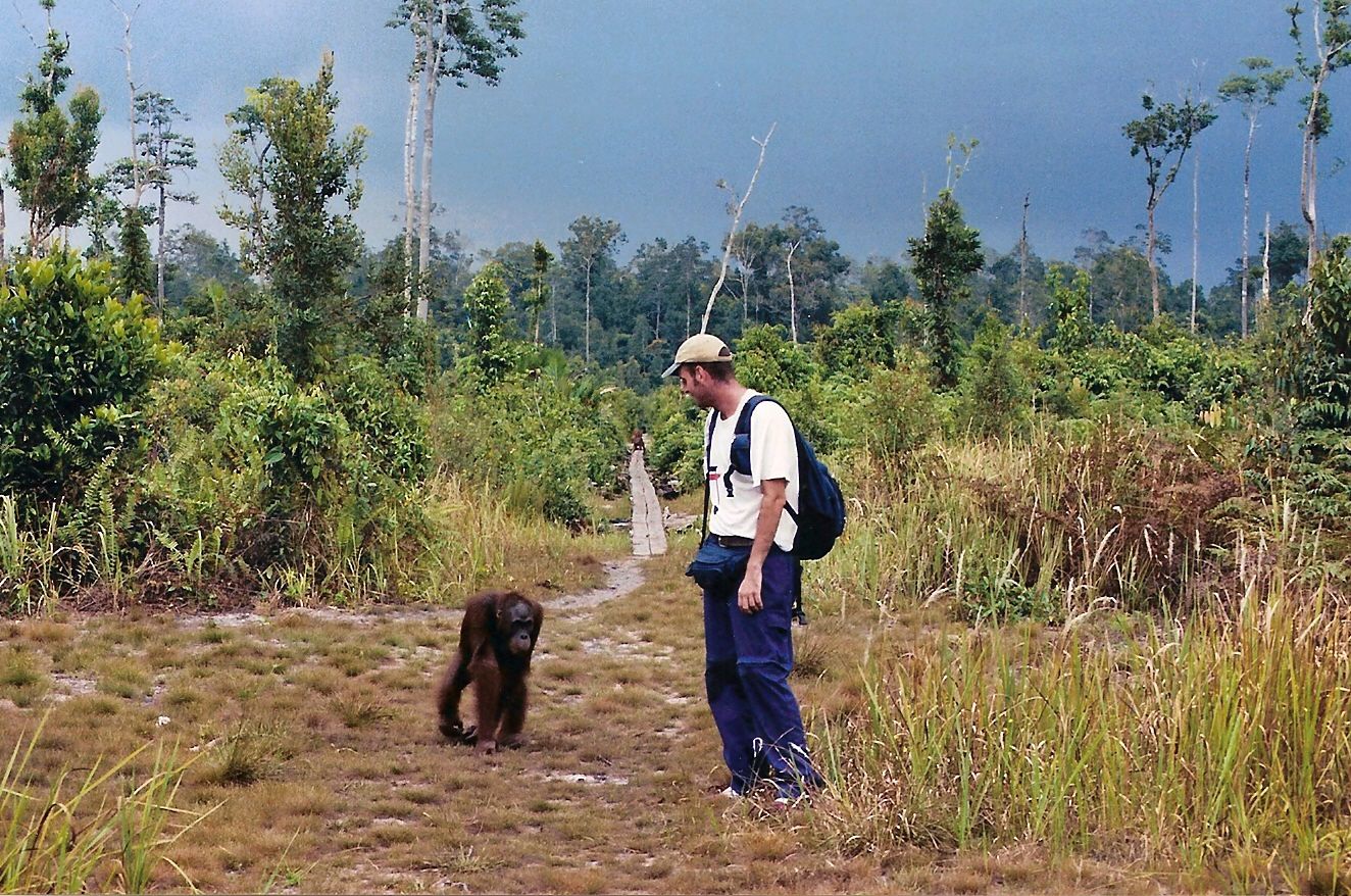 El Raúl alliberant uns orangutans amb l'Orangutan Foundation a l'illa de Borneo (part Indonèsia). © Orangutan Foundation 