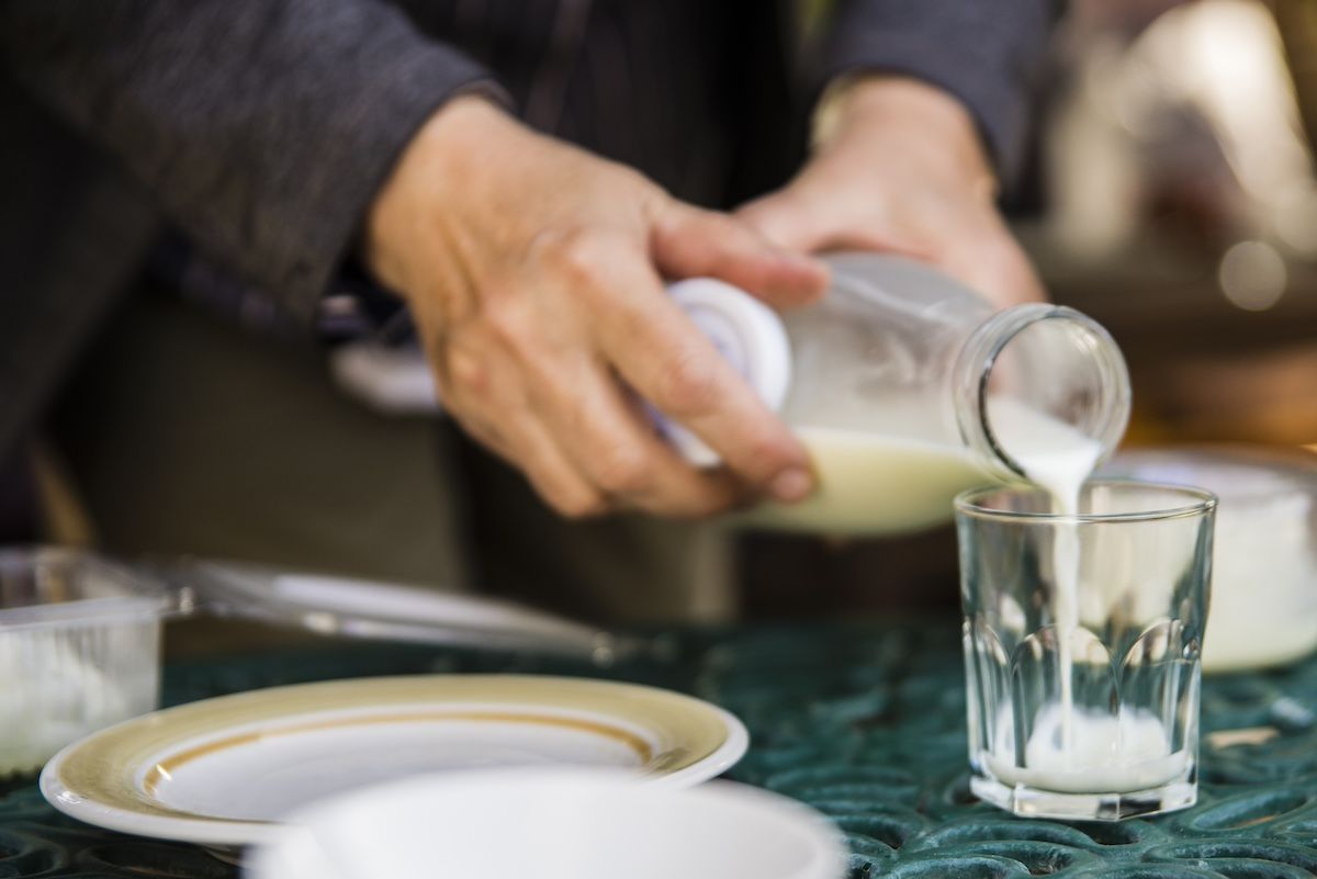 Degustación de leche fresca durante una de las experiencias de la Ruta de la Leche