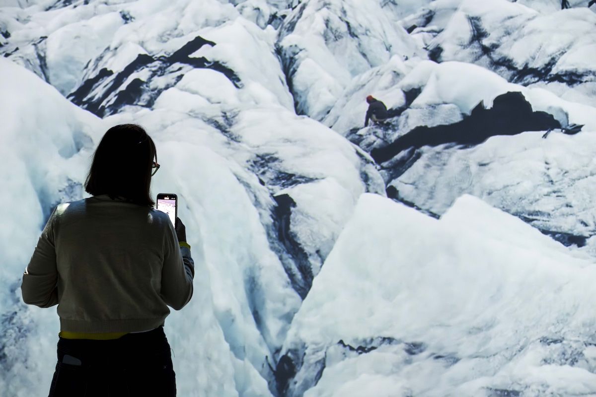 Exposició Som Natura al Cosmocaixa