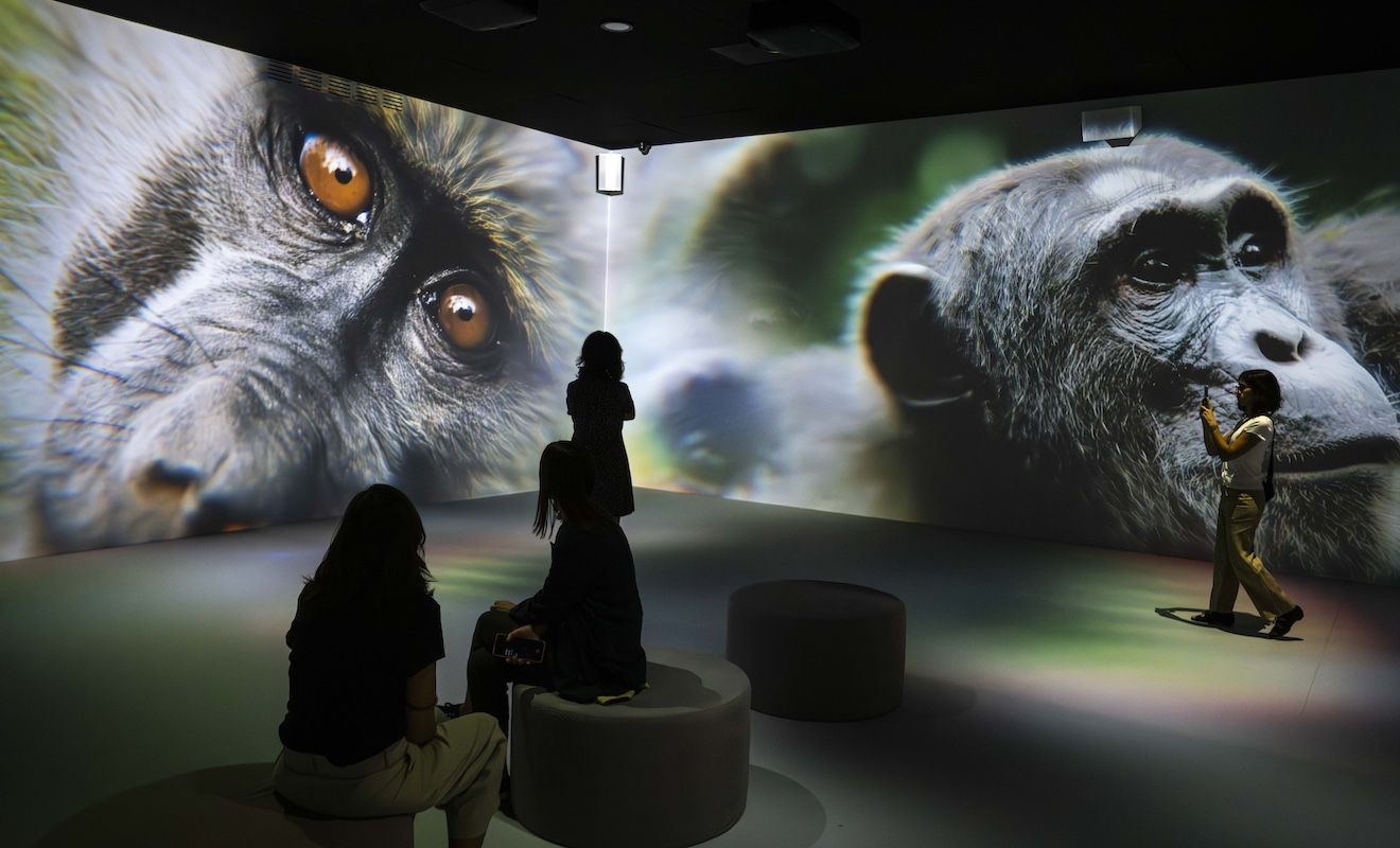 Som Natura del Cosmocaixa