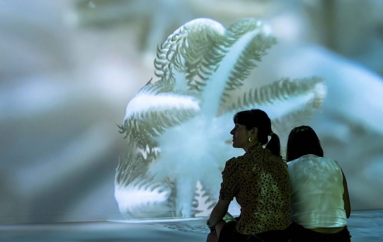 Exposición en el Cosmocaixa. 
