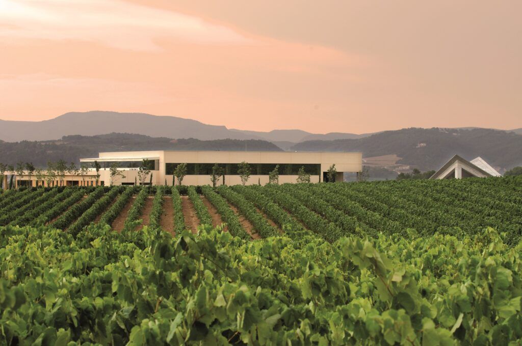 Viñedos Vilarnau, en el Penedès.